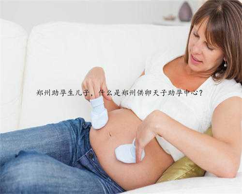 郑州助孕生儿子，什么是郑州供卵天子助孕中心？
