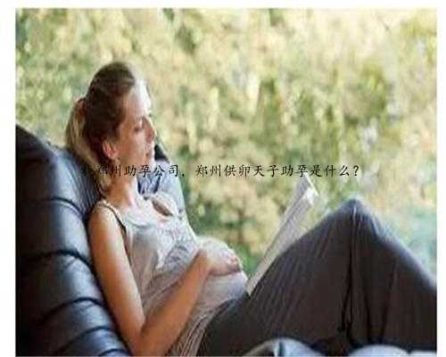 找郑州助孕公司，郑州供卵天子助孕是什么？