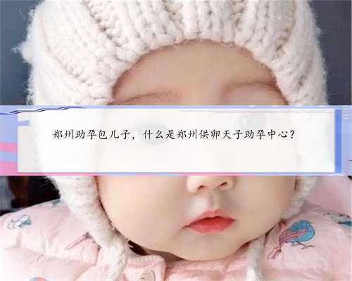 <b>郑州助孕包儿子，什么是郑州供卵天子助孕中心？</b>