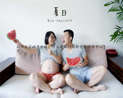 郑州试管助孕价格，什么是郑州供卵天子助孕中心？