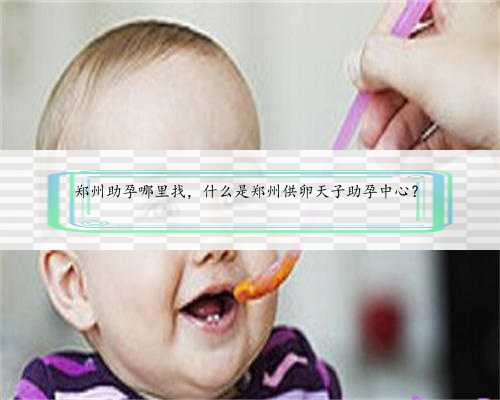 郑州助孕哪里找，什么是郑州供卵天子助孕中心？