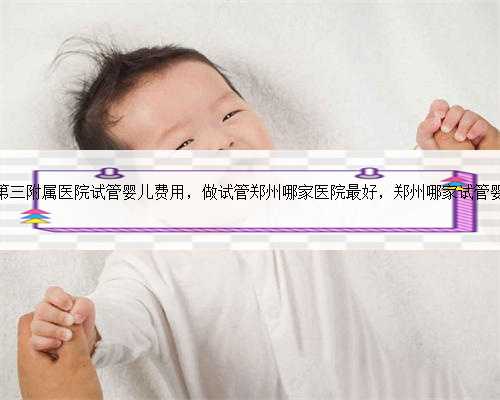 郑州大学第三附属医院试管婴儿费用，做试管郑州哪家医院最好，郑州哪家试管