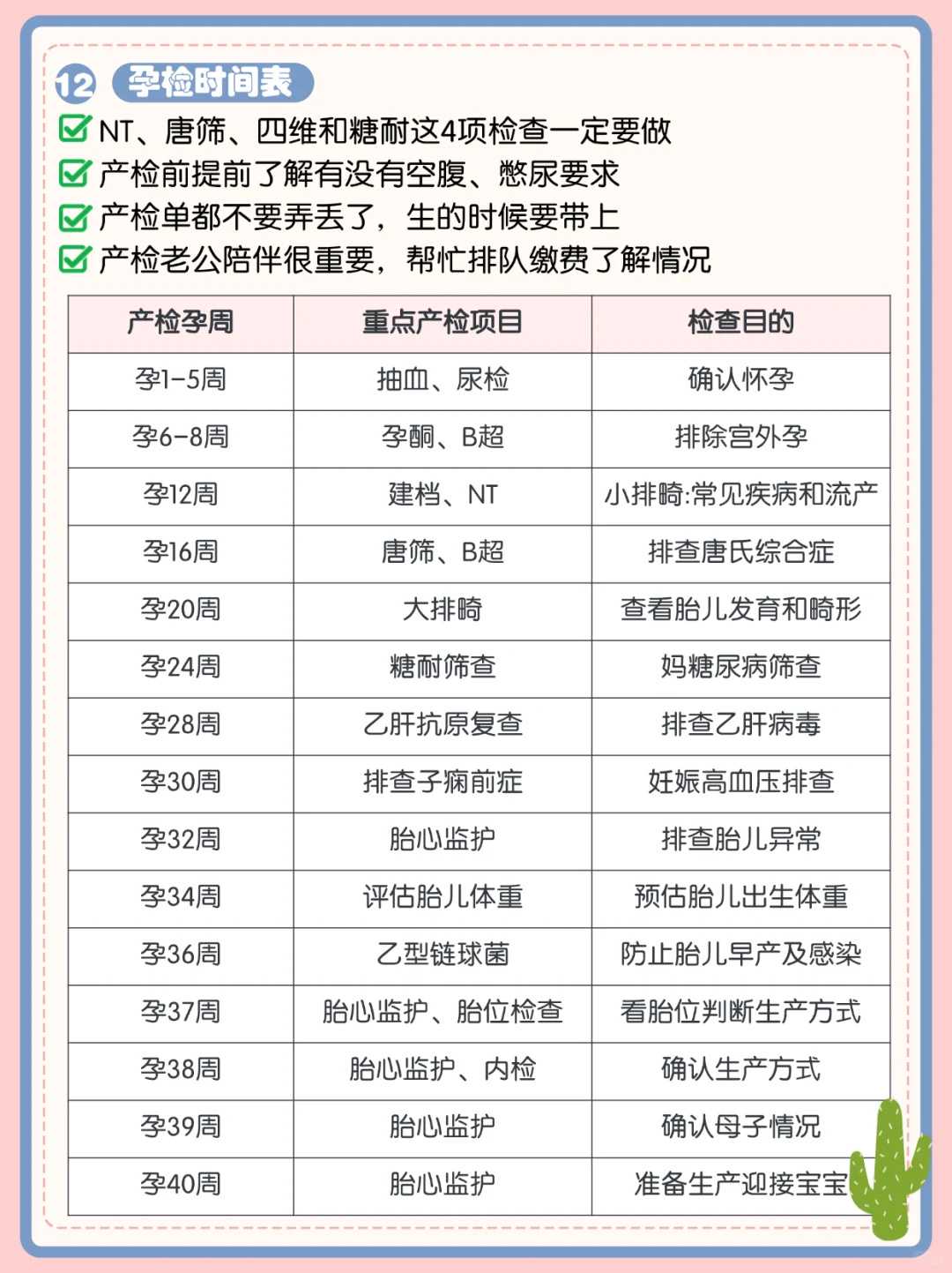 揭秘六个月宝宝惊人的发育历程：专家亲授的实用指南