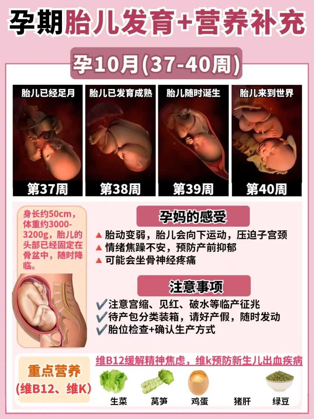 西安靠谱助孕，西安供卵天子助孕中心简介