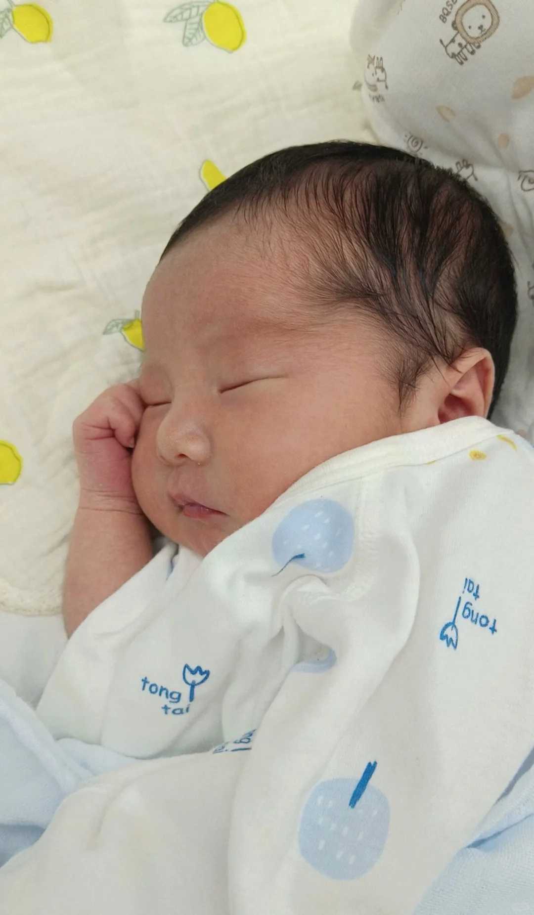 郑州民间供卵,2025郑州第三代试管婴儿医院排名最新版（内附助孕费用及成功率