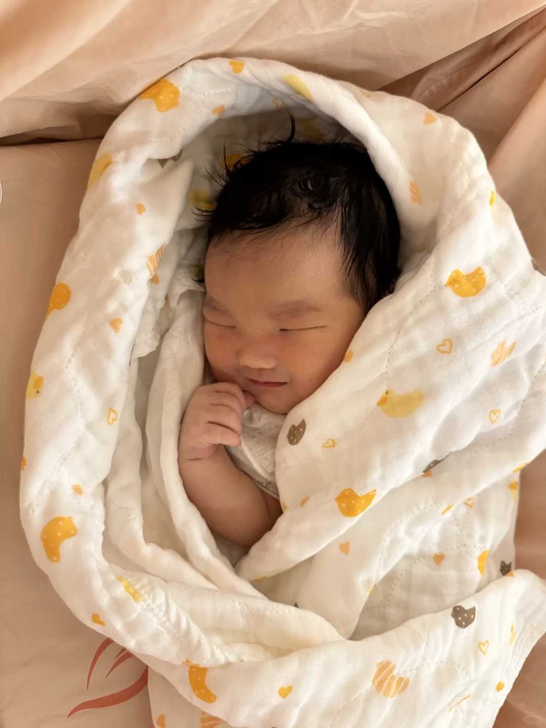 孕妇备孕期饮食宝典：养生美食、饮食禁忌与必备食材，助您成功怀孕！