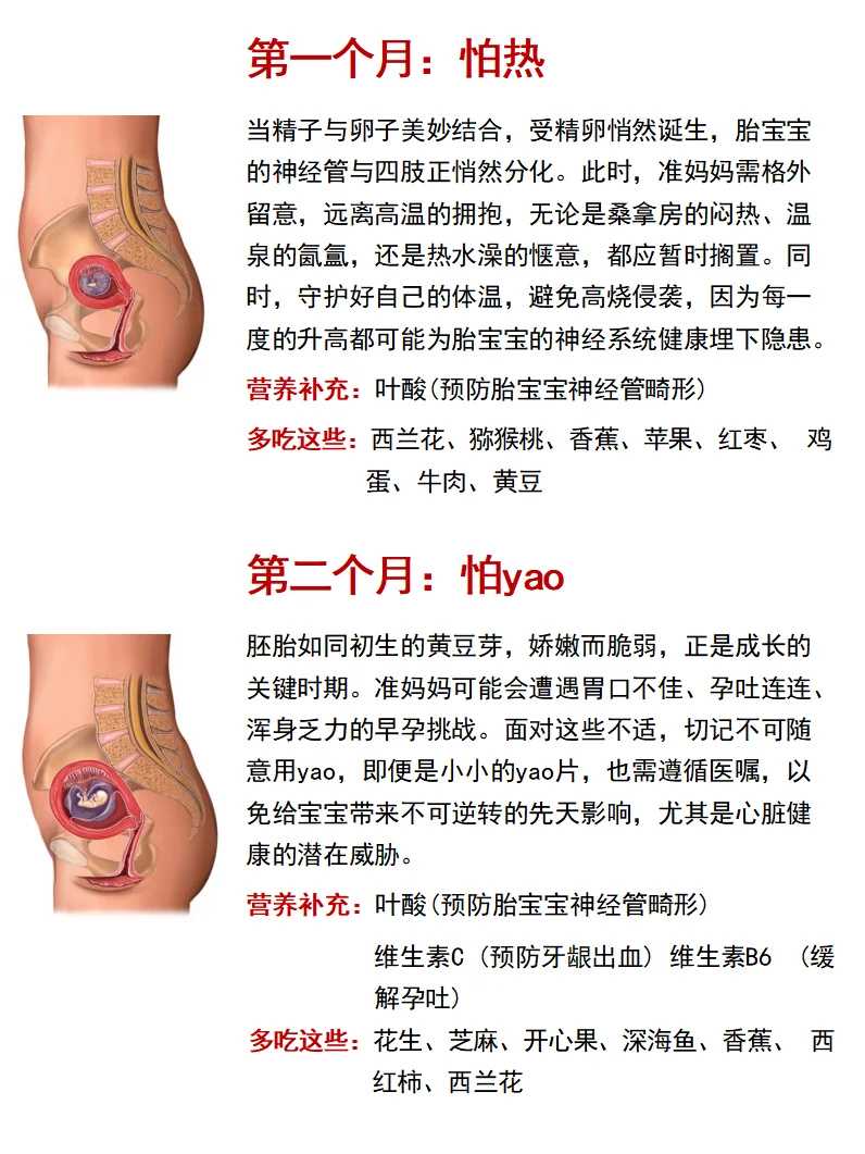 试管婴儿移植护理指南：让您安心度过重要时期