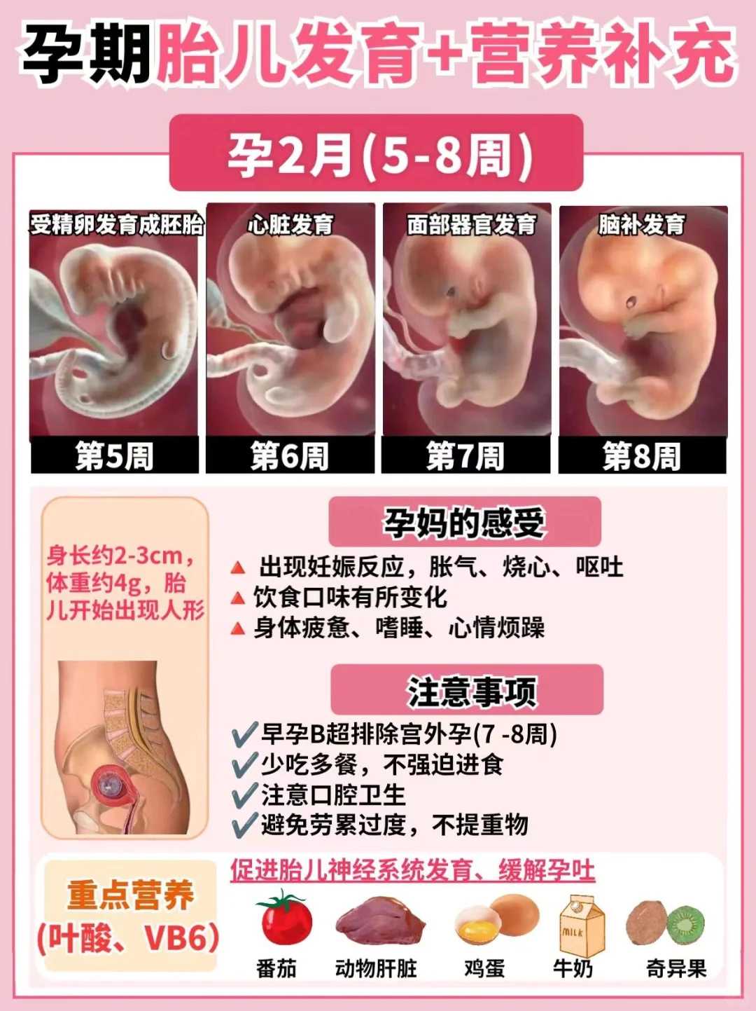 整理更新郑州捐卵试管费用清单。附郑州供卵生男孩医院名单