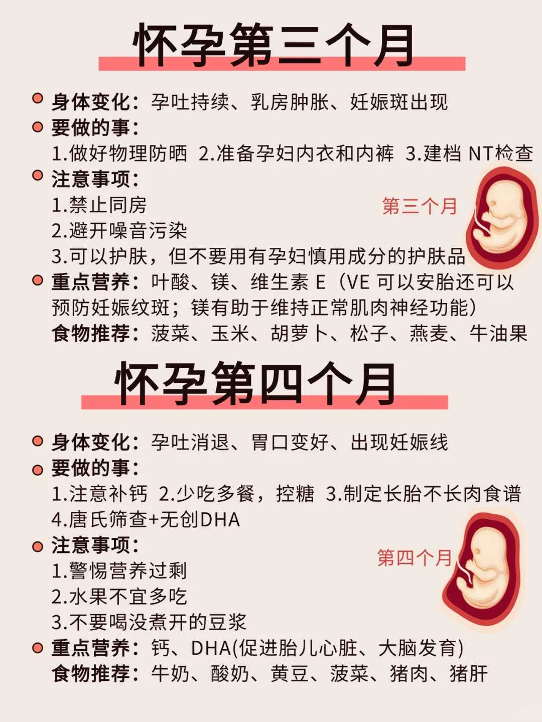 怀孕19周，腹部变化揭秘！你的宝宝在飞速成长！
