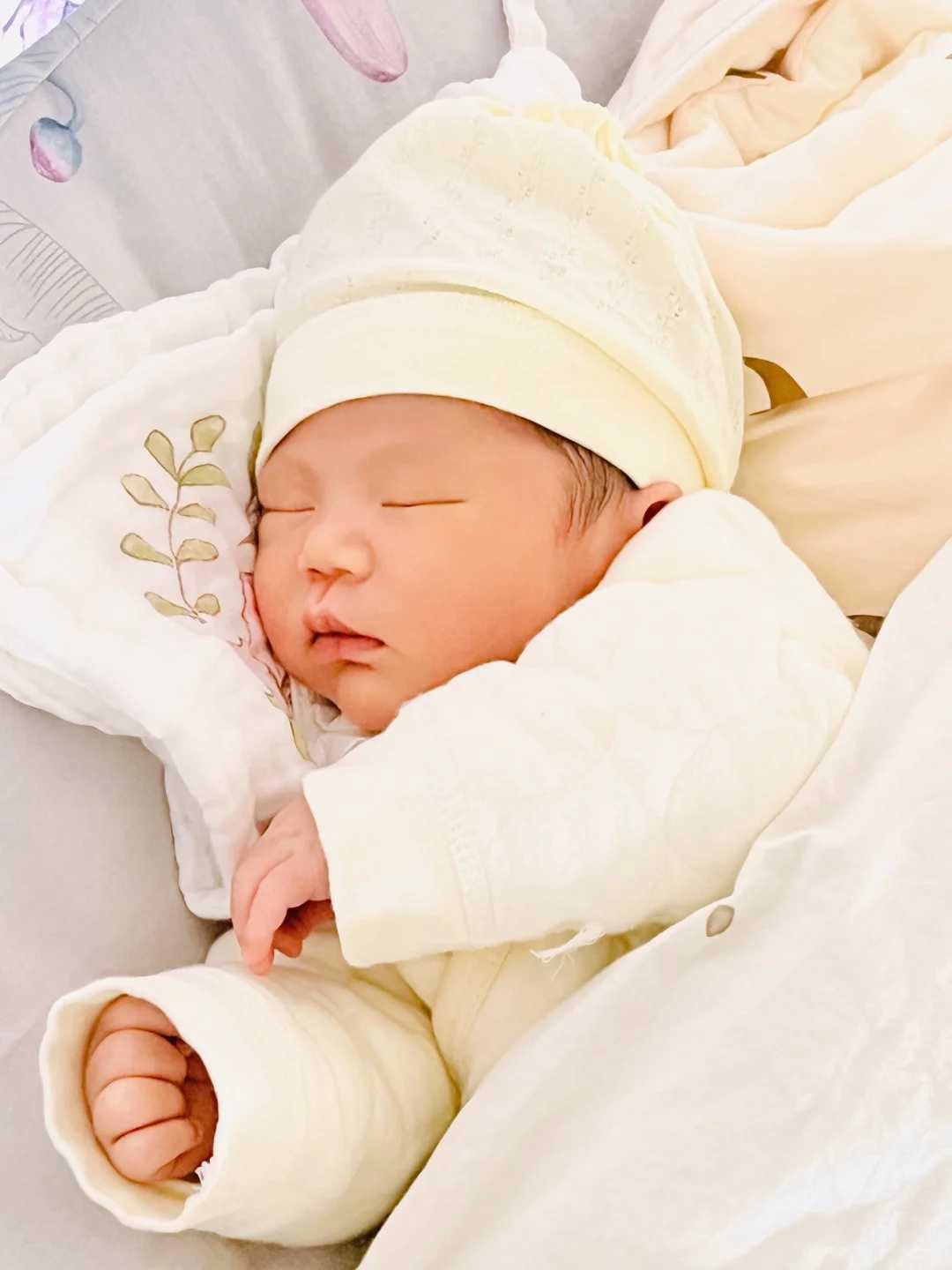 提高受孕率的关键元素：锌元素的科学补充与备孕策略