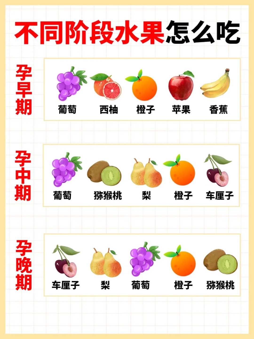 维生素助力备孕：让你轻松迎接新生命的营养指南