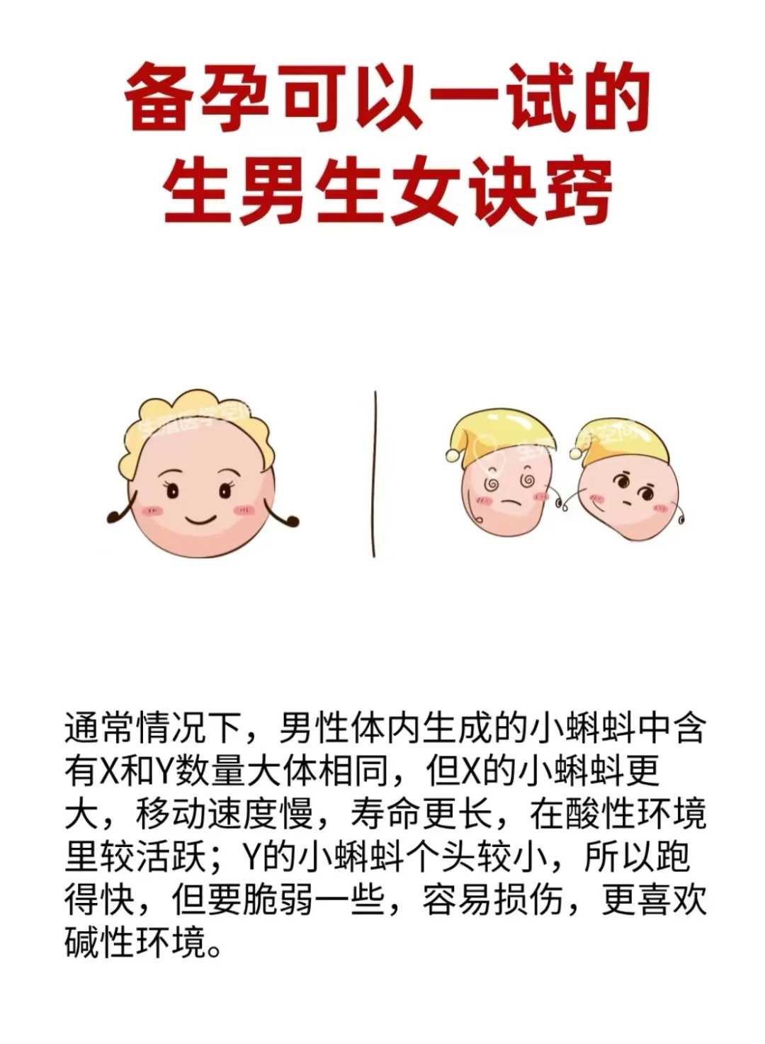 郑州大学第二附属医院能做三代供卵试管吗？成功率高吗？