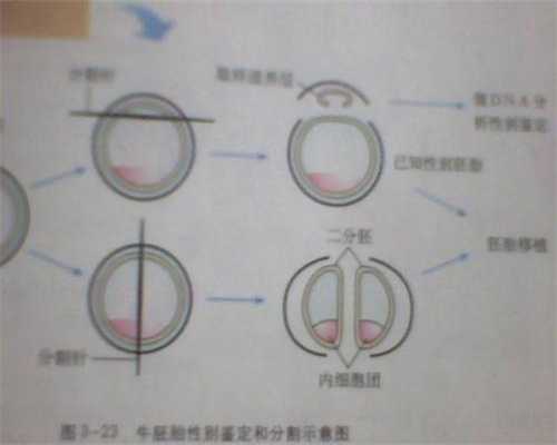 北京仁爱不孕不育医院：三十而孕的五大关键
