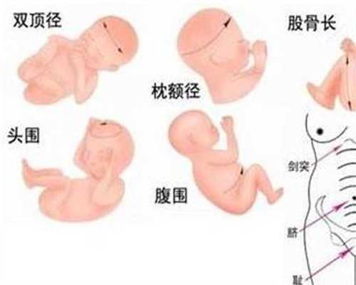 胎动知识知多少 宝宝每天胎动时间
