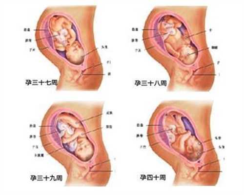 武汉有大海吗：孕前保健好对胎儿发育更有利