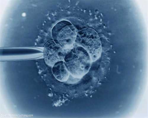 美国助孕宝：代孕应该如何防辐射