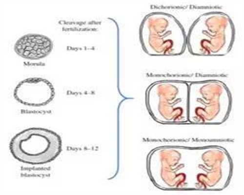 女人多大会卵巢功能下降：代孕第十个月的饮食