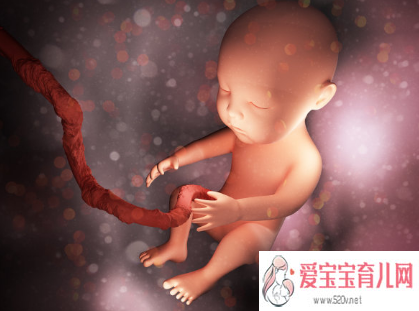 郑州供卵试管成功率高吗，生完孩子需要存储脐带血干细胞吗血干细胞对孩子有