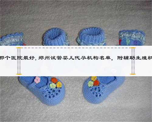 浙江代孕那个医院最好,郑州试管婴儿代孕机构名单，附辅助生殖机构名单？