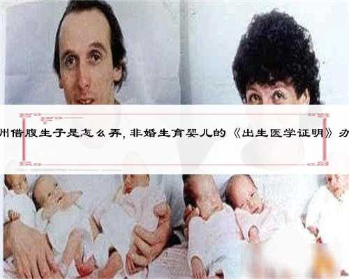 郑州借腹生子是怎么弄,非婚生育婴儿的《出生医学证明》办理